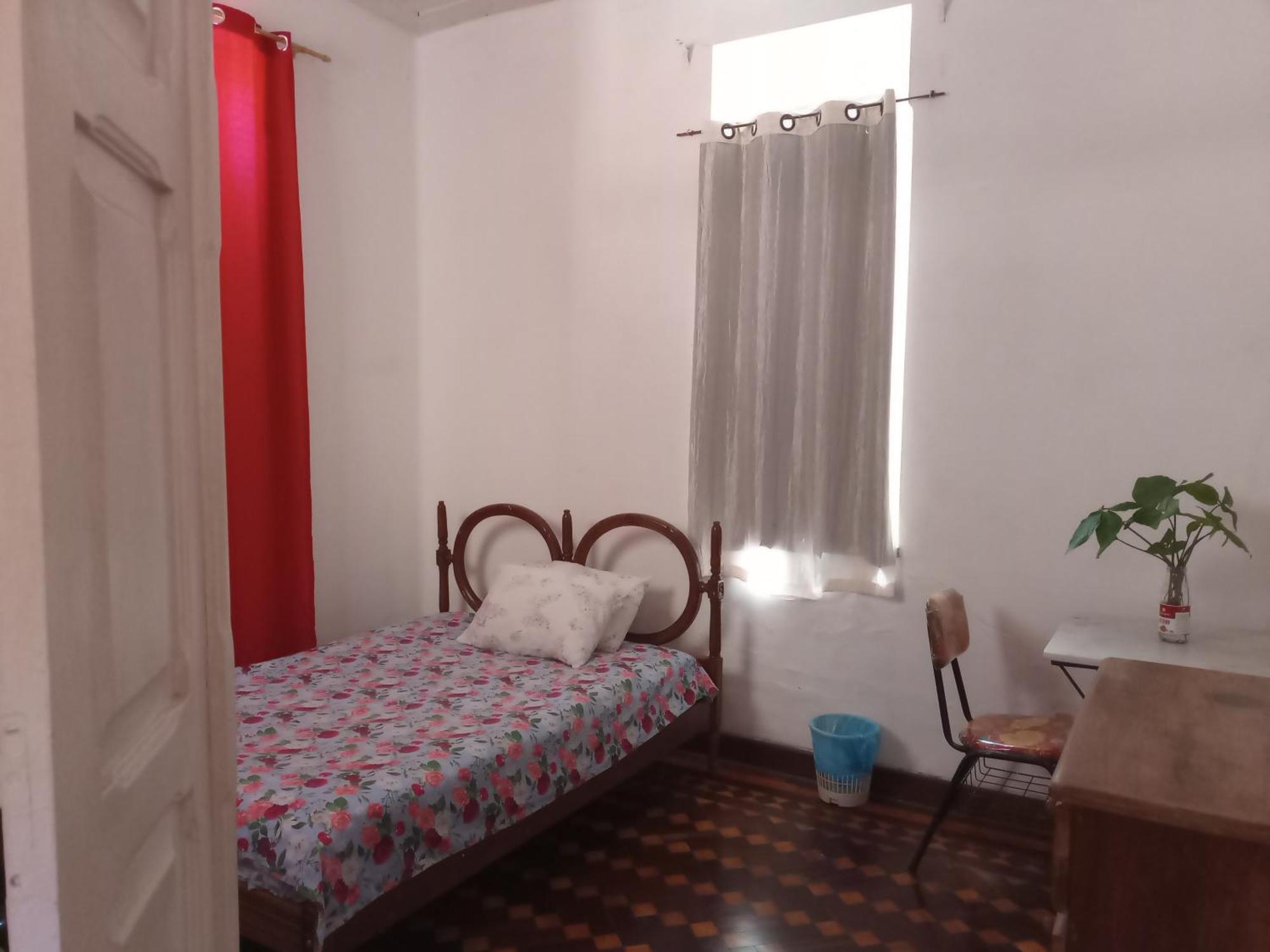 Bed & Breakfast Red Arara